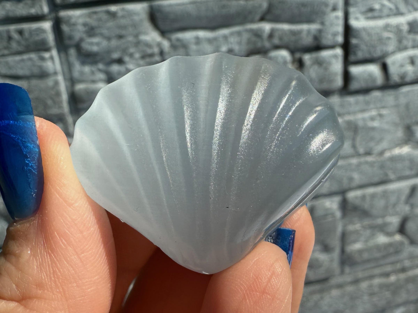 Cat's Eye Selenite Sea Shells