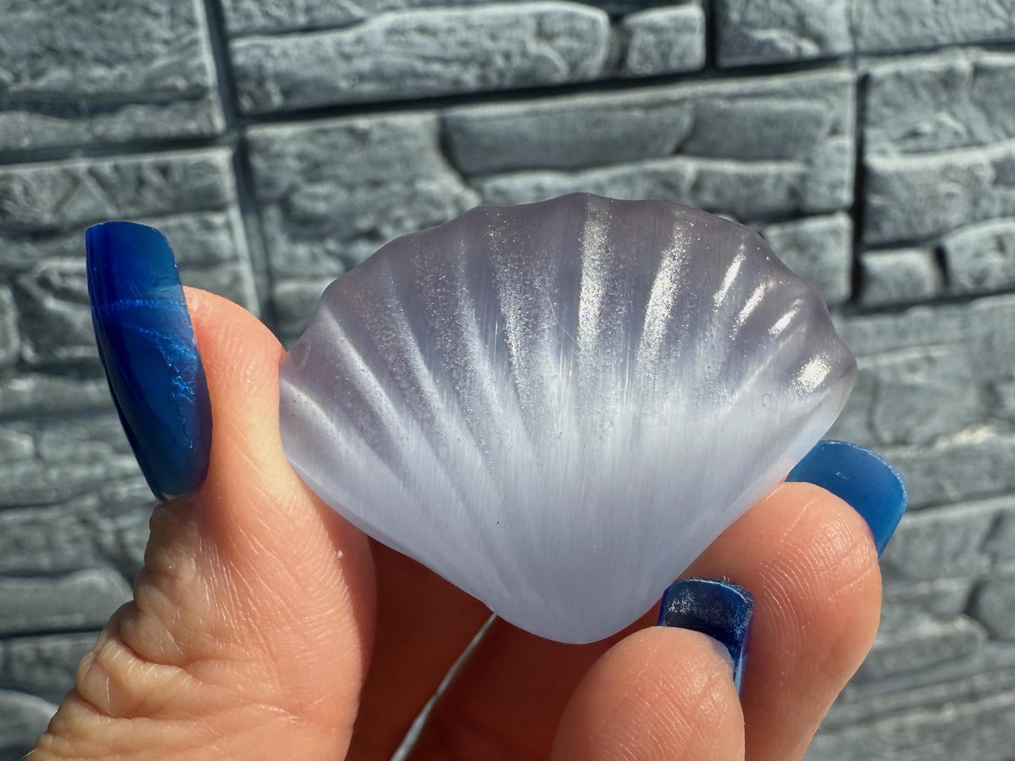 Cat's Eye Selenite Sea Shells