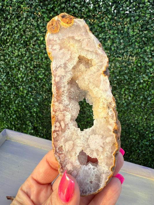 Druzy Pink Flower Agate Slice