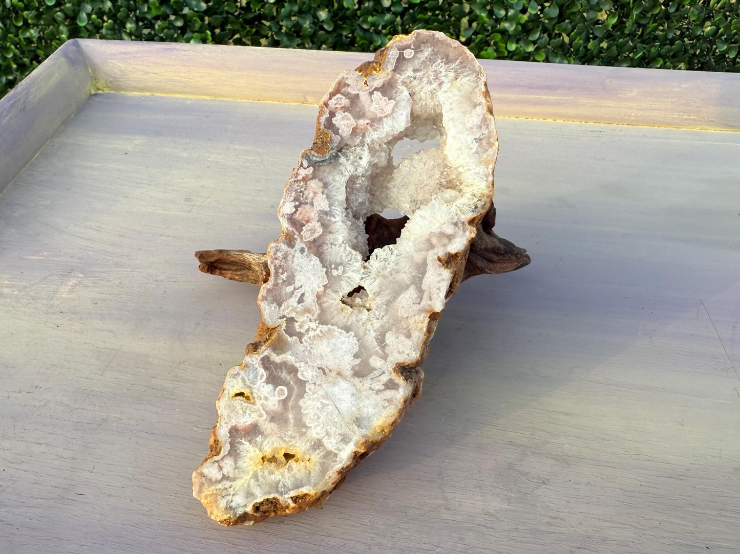 Druzy Pink Flower Agate Slice