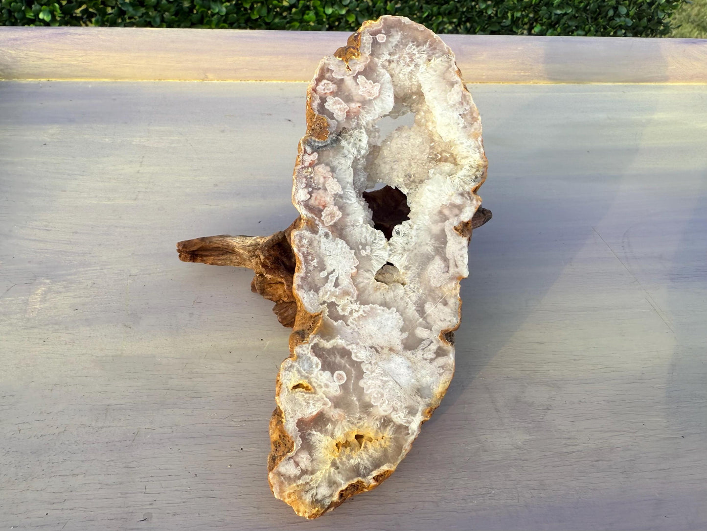 Druzy Pink Flower Agate Slice