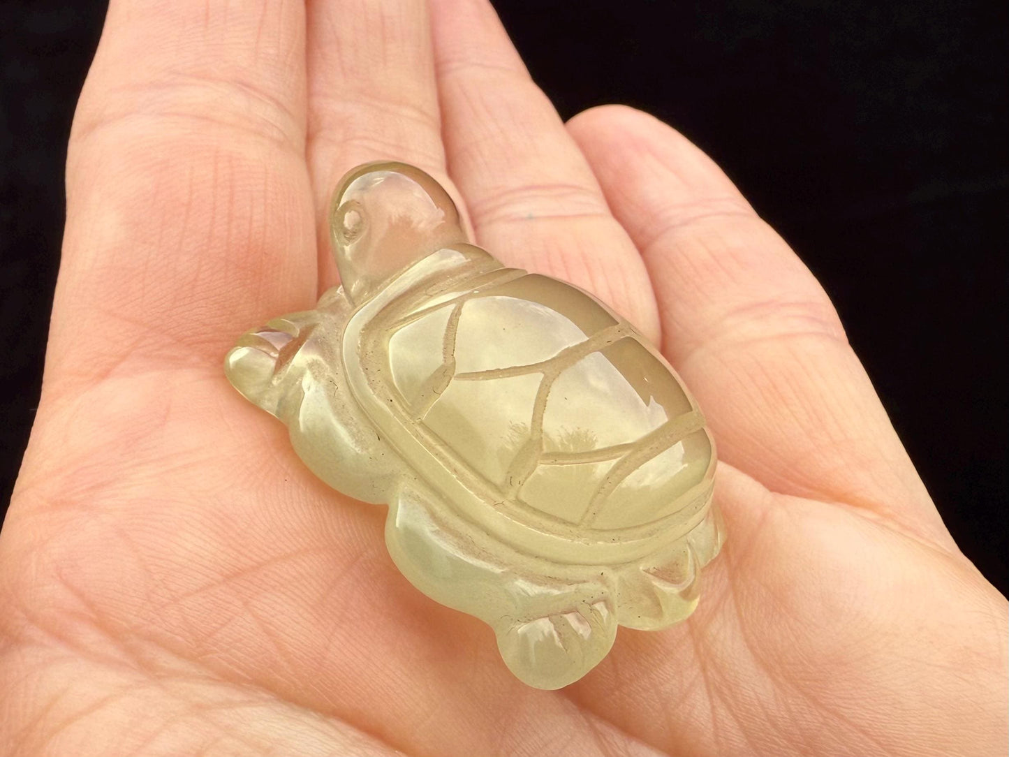 Citrine Turtle Carving