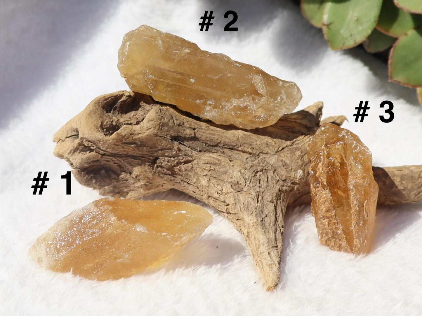 Raw Honey Golden Aragonite from Namibia