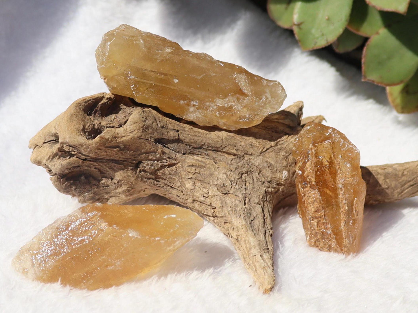 Raw Honey Golden Aragonite from Namibia