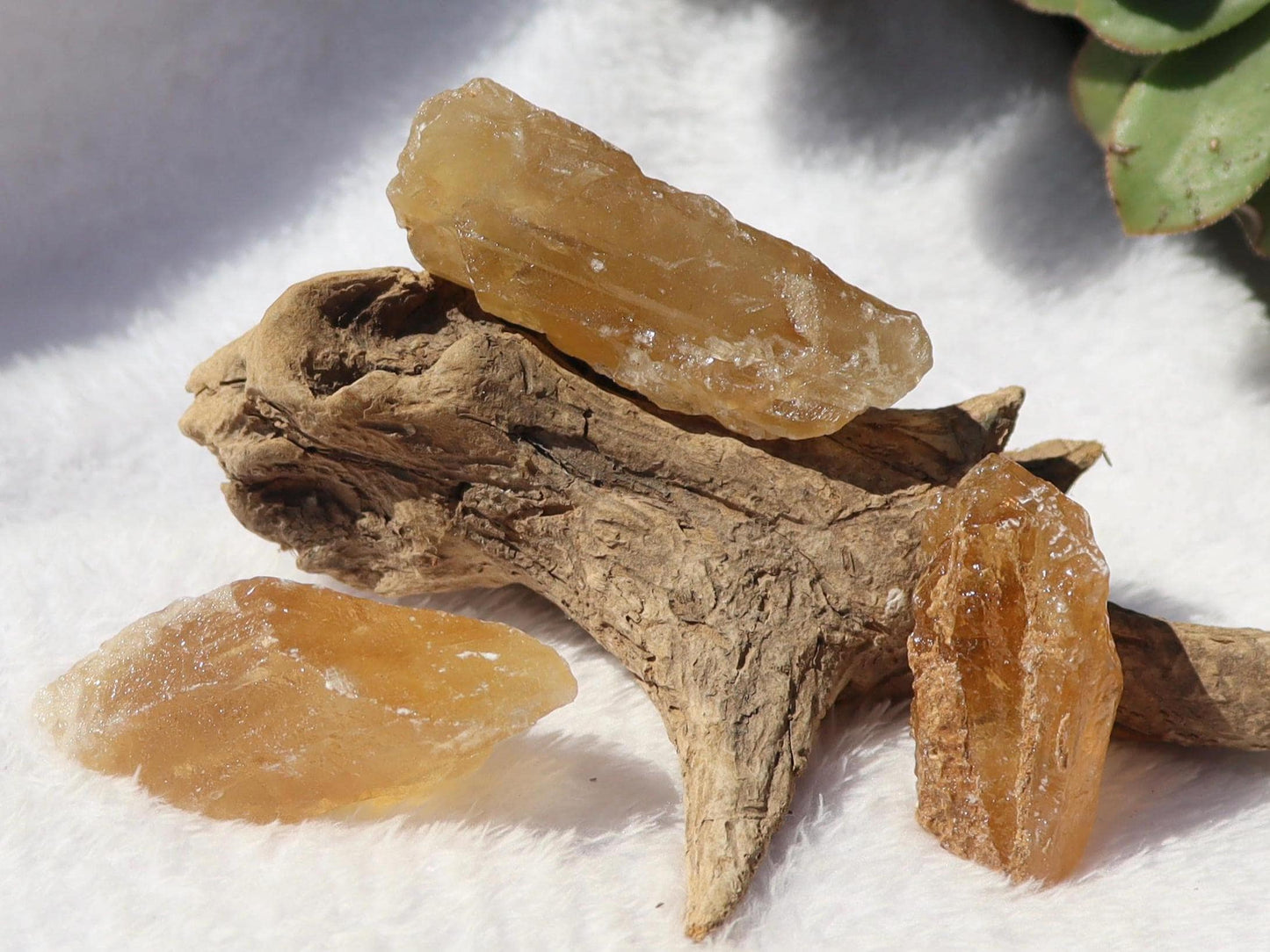 Raw Honey Golden Aragonite from Namibia
