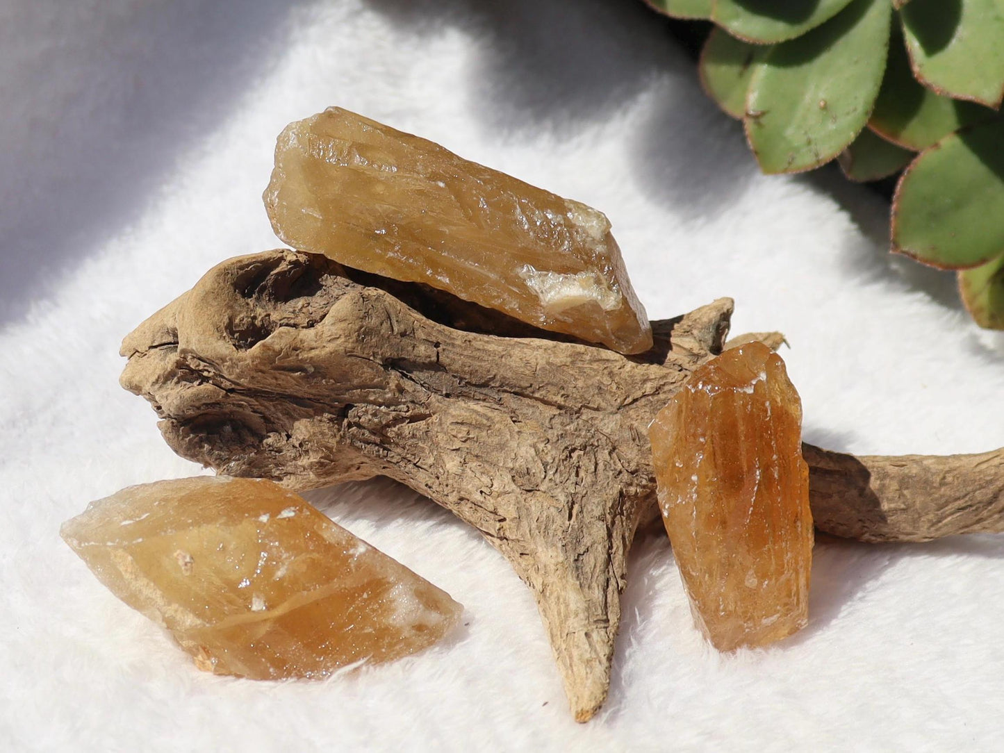 Raw Honey Golden Aragonite from Namibia