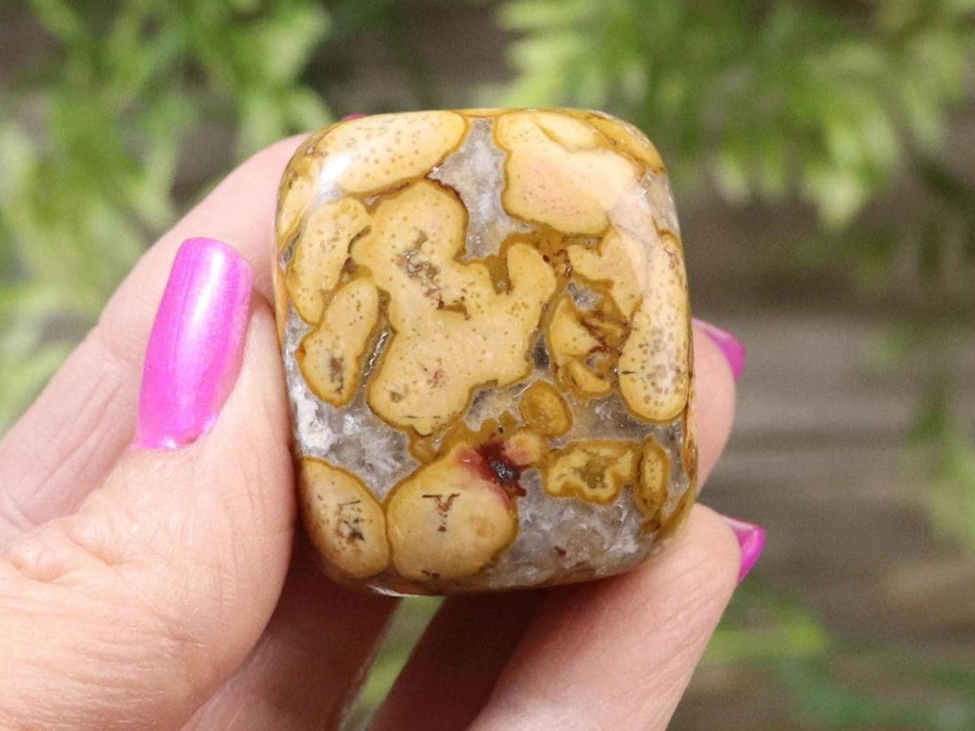 Brecciated Jasper Tumbled Stones