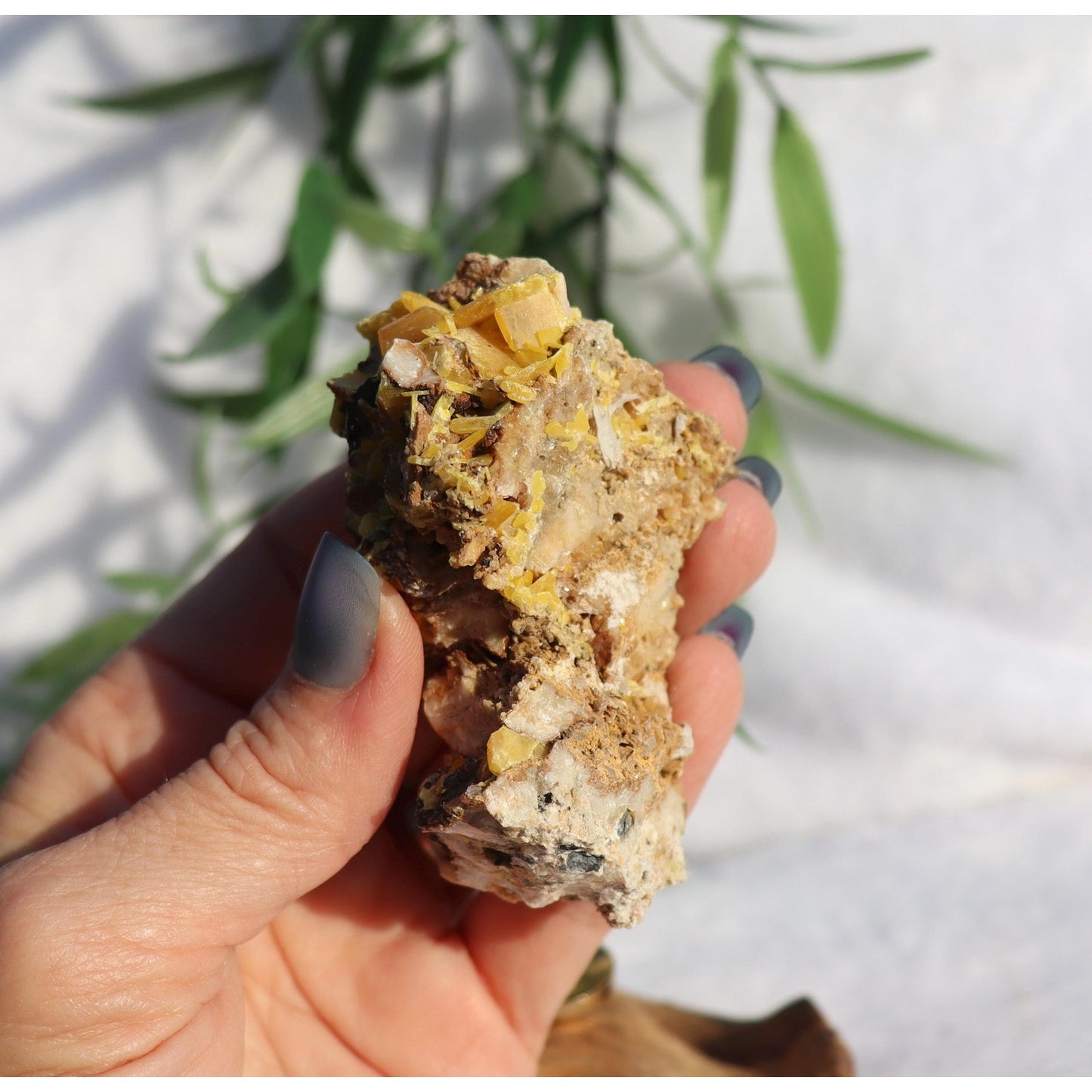 Yellow Wulfenite Crystal Mineral Specimen