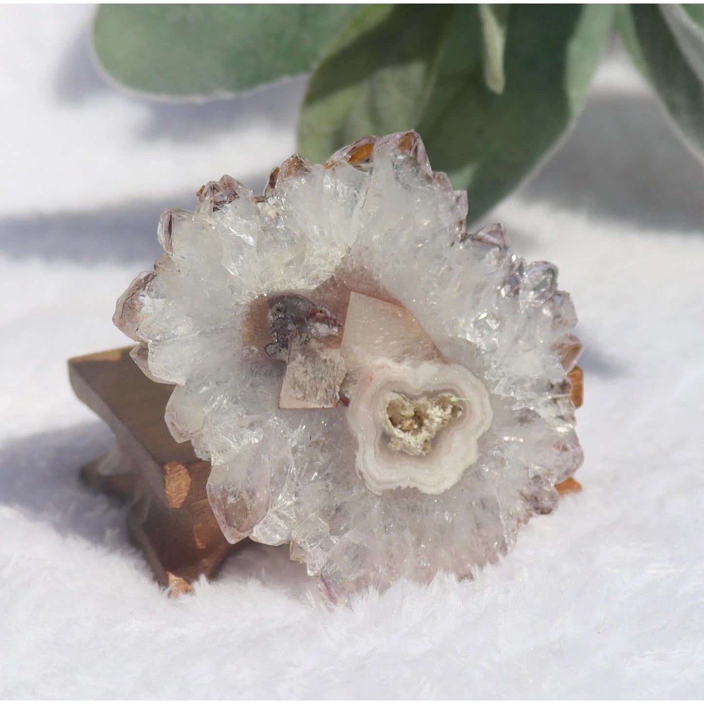 Amethyst Stalactite Slice from Uruguay