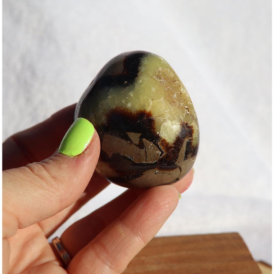 Septarian Palm Stone - Dragon Stone